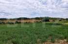 De vanzare teren Fundatura 27500mp - intravilan - 5