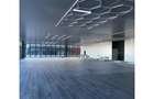 Depozit/hala/spatiu industrial/showroom Afumati - DN2 - Dor - 3
