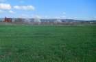 Teren Construcții de 434 mp, în Sopor - 4
