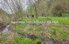 Teren intravilan 1.700 mp + 6.600 mp Padure de foioase + 1.200 mp Padure de foioase, Sat Nojag. - 16
