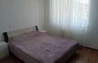 Apartament 2 Camere Tractorul Nicolae Labis - 8
