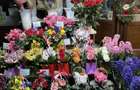 Vand chiosc florarie Calea Bucuresti - 2