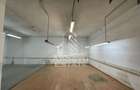 Hala de 670 mp cu birouri 50 mp, Zona Semicentrala - 17