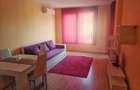 Inchiriere apartament cu 2 camere in zona Tineretului - 4