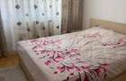 Apartament, 2 camere, 45 mp, zona Piata Victoriei - 6