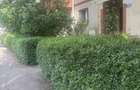 Inchiriez aparent 3 camere zona big - 2