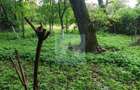 Casă cu 3 camere cu Teren 800 Mp în Tărlungeni - 5