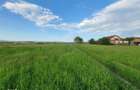Teren rezidential Bod-Brasov zona de case - 2