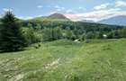Teren de 8500 mp, în Dălghiu - 5