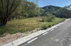 Vand teren com Ramet, jud Alba - 5
