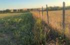Teren intravilan 4.003 mp Frecatei, Tulcea - drum pe 3 laturi, curent - 4
