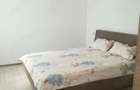 Vila P+1 in Zona Coiciu - 4