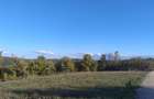 Teren Construcții intravilan de 534 mp, în Săldăbagiu de Munte - 1 Teren Construcții intravilan de 534 mp, în Săldăbagiu de Munte - 1