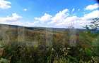 Teren intravilan de 5800 mp, în Central - 9
