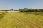 Vand teren intravilan 550mp Ganeasa IF - 1