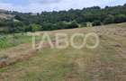 Teren de vanzare cu deschidere la padure 15600 mp in Hamba Sibiu - 2