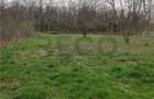 RECO Teren intravilan Paleu 2900mp - 5