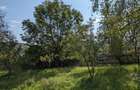 Proprietar - Vand casa cu 4873 m2 teren intravilan - 8