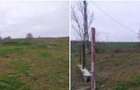 Teren intravilan de 4240 mp, în Tăutești - 4
