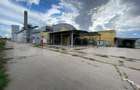 Spațiu industrial, de 15,533 mp, în Freidorf - 1