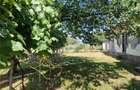 Casă cu 3 camere cu Teren 2000 Mp în Malu Vânăt - 8