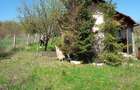 Vand teren intravilan cu cabana in comuna Sandulesti - 4