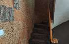 Casă cu 2 camere cu Teren 243 Mp în Herăstrău - 13 Casă cu 2 camere cu Teren 243 Mp în Herăstrău - 13