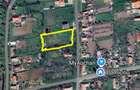 Teren 1000 mp Cornesti langa Timisoara | - 2