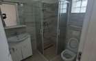 Inchiriem apartamente cu 2 camere si living openspace zona Turnisor - 4
