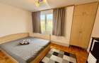 Apartament cu 2 camere semidecomandat în Ultracentral - 4