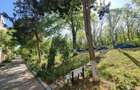 Apartament 2 camere Neptun - 6