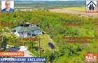 Casa renovata 141mp + Teren 10.000mp | Podenii Vechi - PH - 11