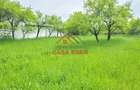 Teren intravilan in Scorteni--3999mp--55.000e - 3