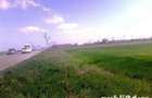Vand 2500 mp, INTRAVILAN Ghimpati, 9999Euro - 4