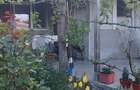 Casa de vanzare in judetul Prahova, comuna Draganesti, sat Baraitaru - 8