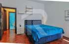 Apartament cu 3 camere semidecomandat în Ferdinand - 9