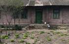 Buna ziua ! Vand casa in comuna ,Dunavat de Sus ,Tulcea ! - 1
