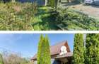 Casa cu teren mare 8.570 mp Bacel, jud. Covasna - 4
