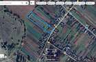 Vand casa cu 12500 mp teren in Sasca Mica, la 10km de Falticeni - 3