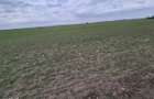 Vanzare teren intravilan 13.852mp, zona depozite Domnesti - 6