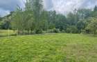Ultracentral - Breaza - 5
