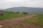 Teren intravilan 1000 mp, cu PUZ, zona platoului Radaia - 1