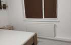 Apartament 2 camere, Calea ?agului, Timi?oara - 16