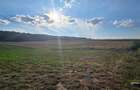 1 ha teren zona Curtesti - Bucovina - 2