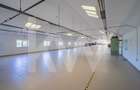 Hala industriala | productie | depozitare | cantina | 826mp | Sebes - 1