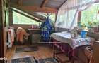 Casa 3 Camere, Teren 6200 Mp + 2 Lacuri, Campulung, Namaiesti - 17