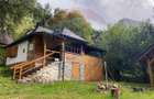 Casa de vacan?a deosebita cu ciubar si sauna - natura si relaxare - 10