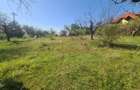 Teren Construcții intravilan de 2500 mp, în Voila - 2