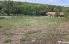 TEREN INTRAVILAN//COM. PLOPU//1300//2700 MP - 8