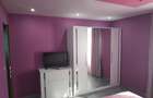 Apartament cu 2 camere de inchiriat zona Aviatiei - 4